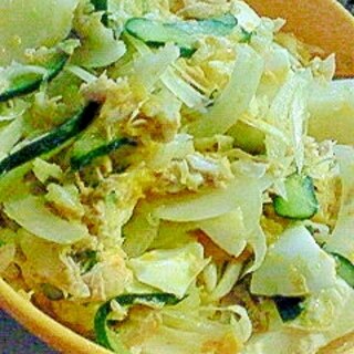 玉ねぎin★野菜たっぷりツナ玉サラダ